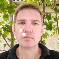 ellizii