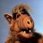 Alf_Alf